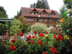 Отель Gästehaus Zur schönen Aussicht  Вис